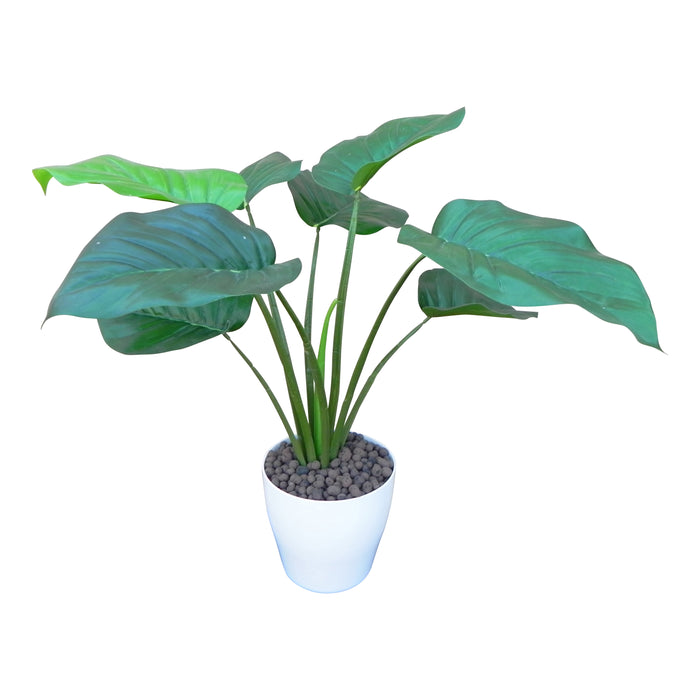 b130a192-b75b-4934-9286-96bd82b87bb5-afbeelding10.jpg (2458610)