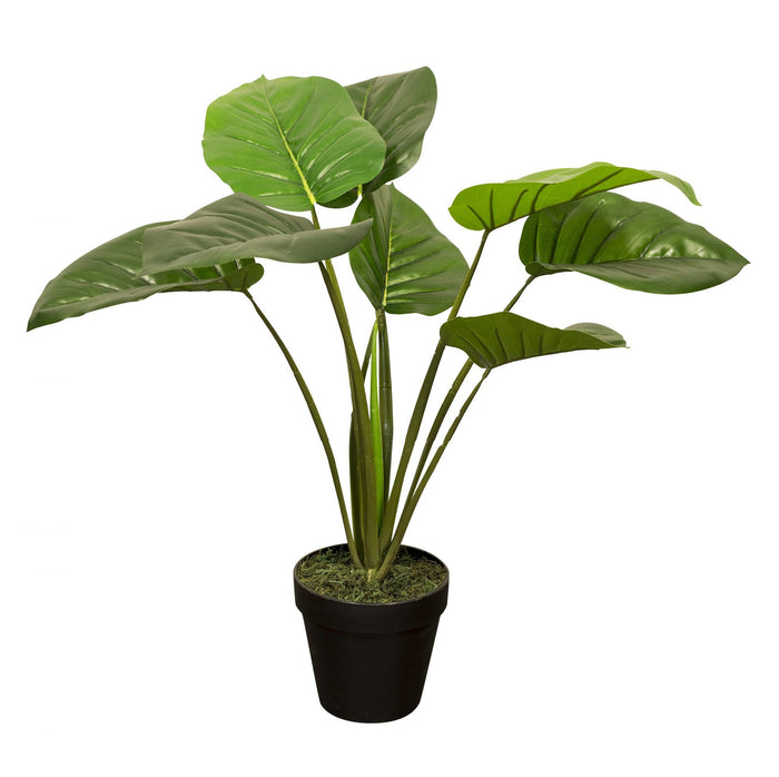 b130a192-b75b-4934-9286-96bd82b87bb5-sfeerbeeld.jpg (2458611)