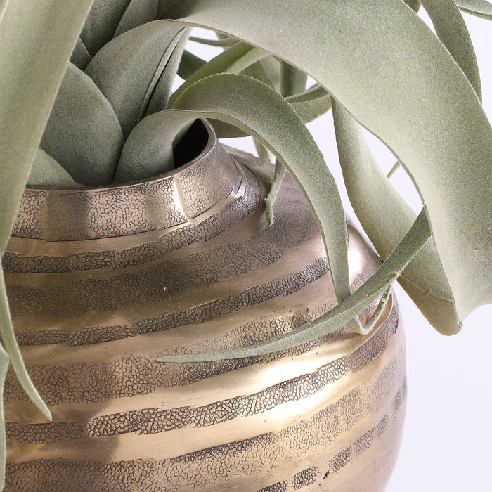 Casa Vivante Cedric Vaas Ø19 cm donkergoud