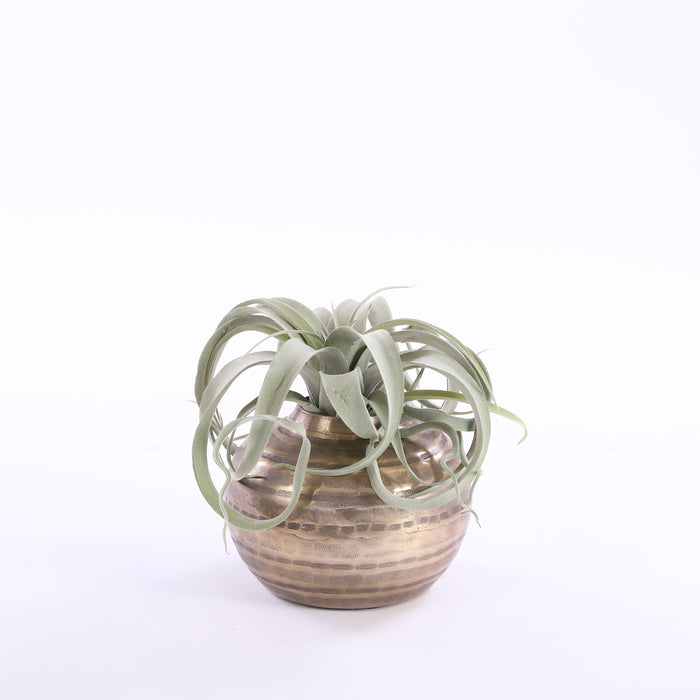 Casa Vivante Cedric Vaas Ø19 cm donkergoud