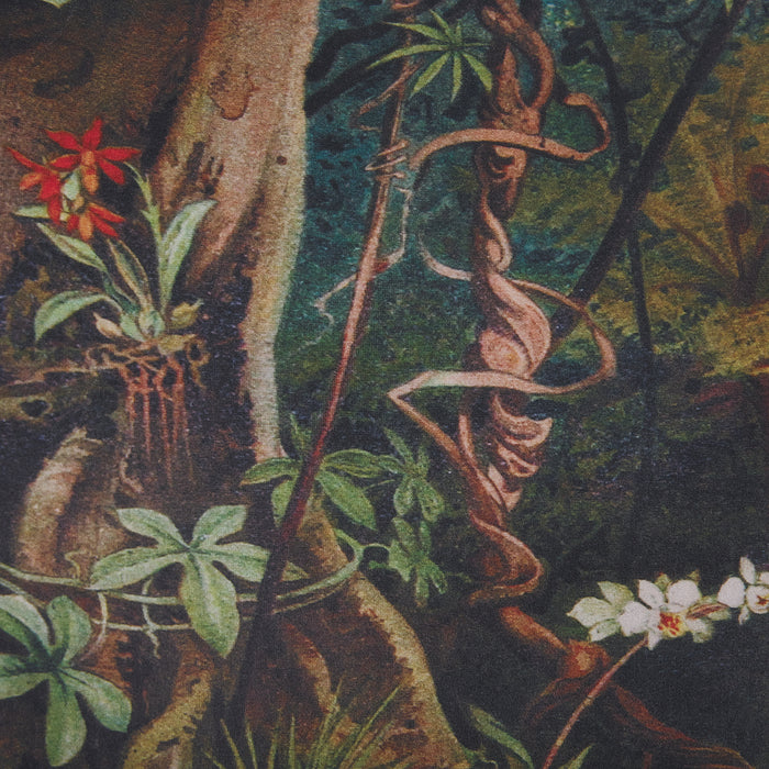 39918251-42f0-4809-8582-aea27a111aec-afbeelding8.jpg (2496832)