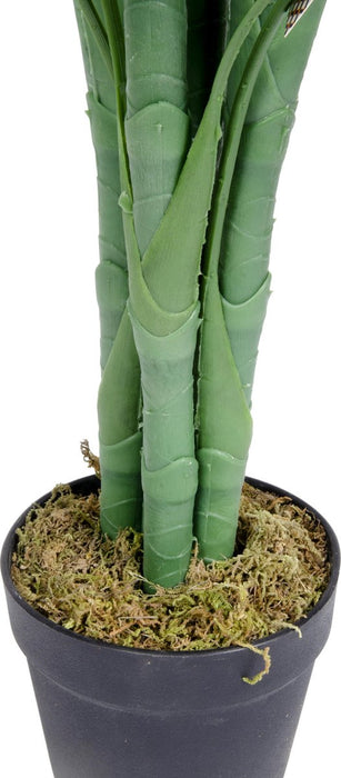 78869849-0d48-4f7a-ac3e-30419ce83eeb-afbeelding3.jpg (2497332)