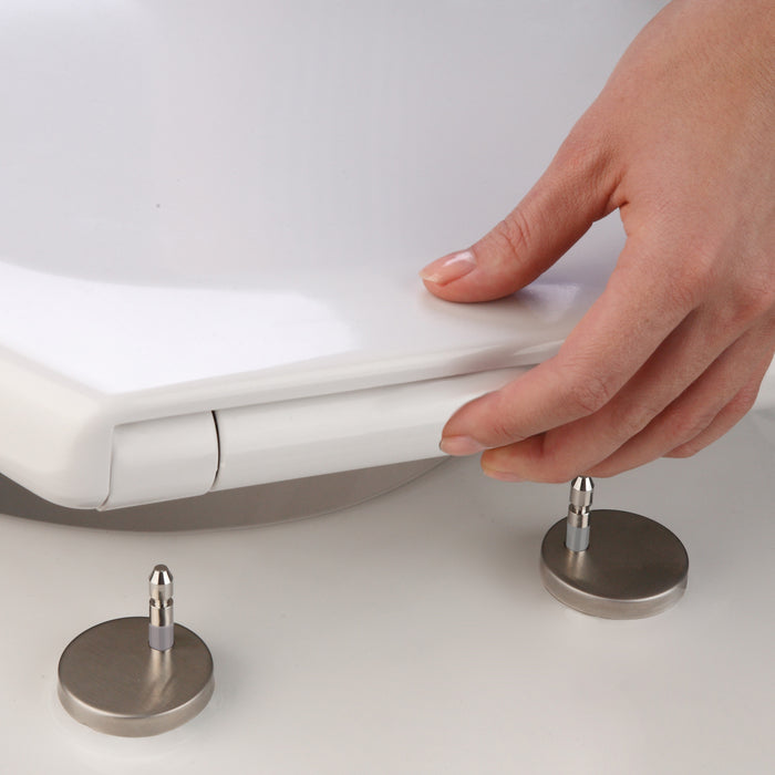 Tiger Tulsa Toiletzitting