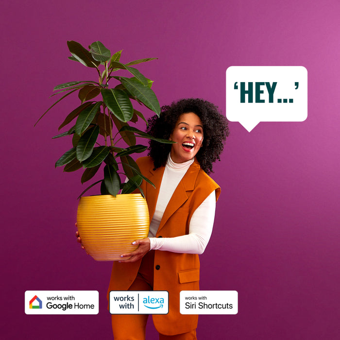 8dfbc655-c0a7-49b6-a367-563f4b882d70-afbeelding5.jpg (2511760)