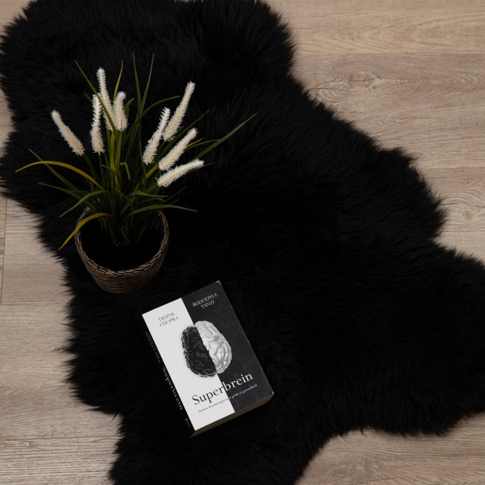 ea1bb097-1bb5-4184-92bb-8b680ff90255-afbeelding3.jpg (2520824)