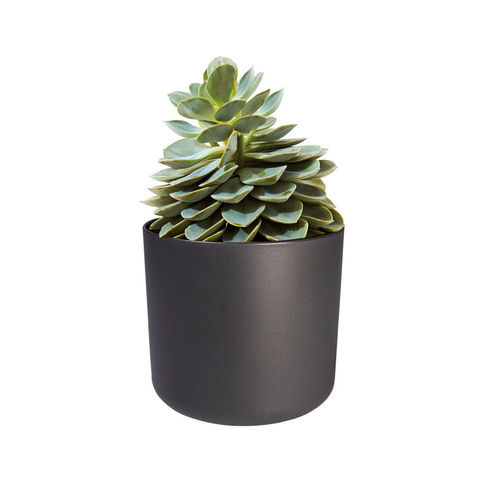 Elho B.For Soft Bloempot Rond 22 cm