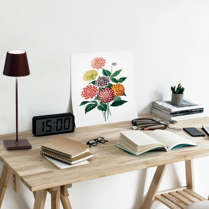 77af6f76-ad6b-48c6-83ca-aad9a0b3f7e2-sfeerbeeld.jpg (2536475)