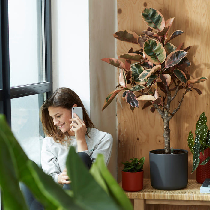 Elho B.For Soft Bloempot Rond 22 cm