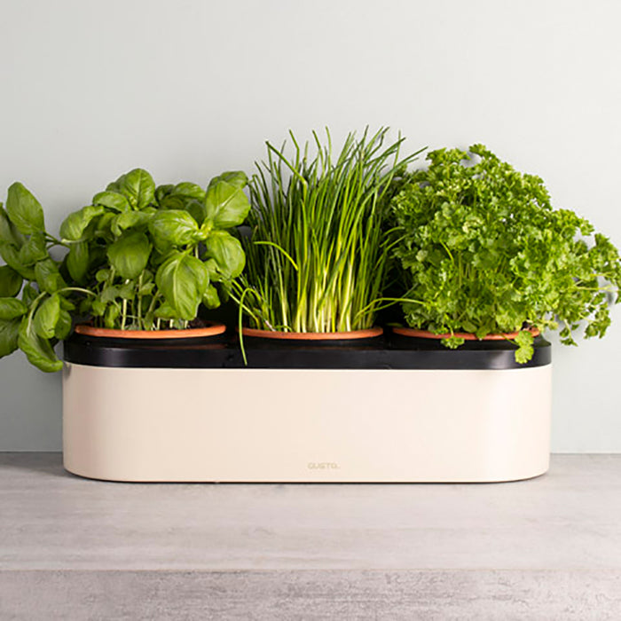 Gusta TerraCotcha Kruidenplanter 3 Potten