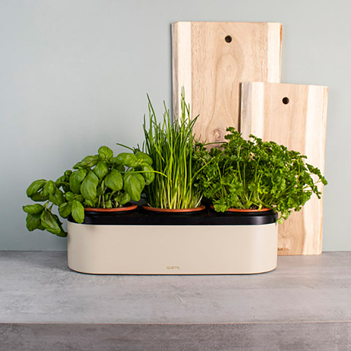 Gusta TerraCotcha Kruidenplanter 3 Potten