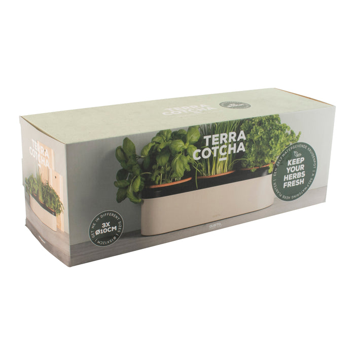 Gusta TerraCotcha Kruidenplanter 3 Potten