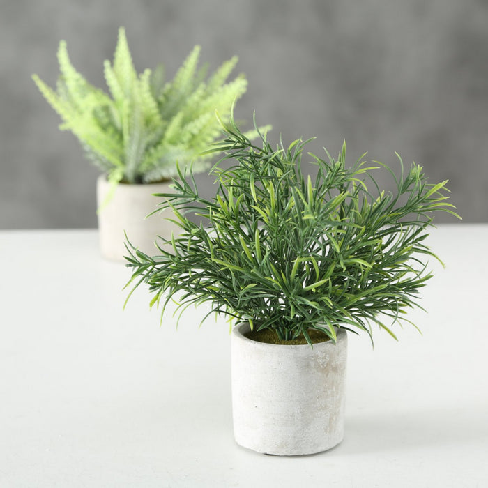 f3685f28-d4d8-4978-830b-d8b5c9d17a87-afbeelding4.jpg (2557074)