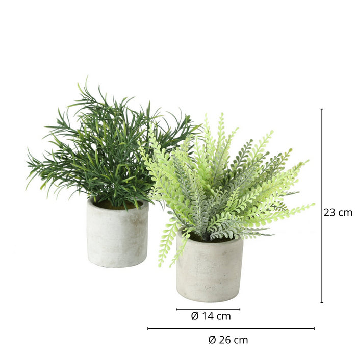 f3685f28-d4d8-4978-830b-d8b5c9d17a87-afbeelding5.jpg (2557075)