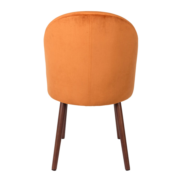 231507-x4.jpg (2577173)