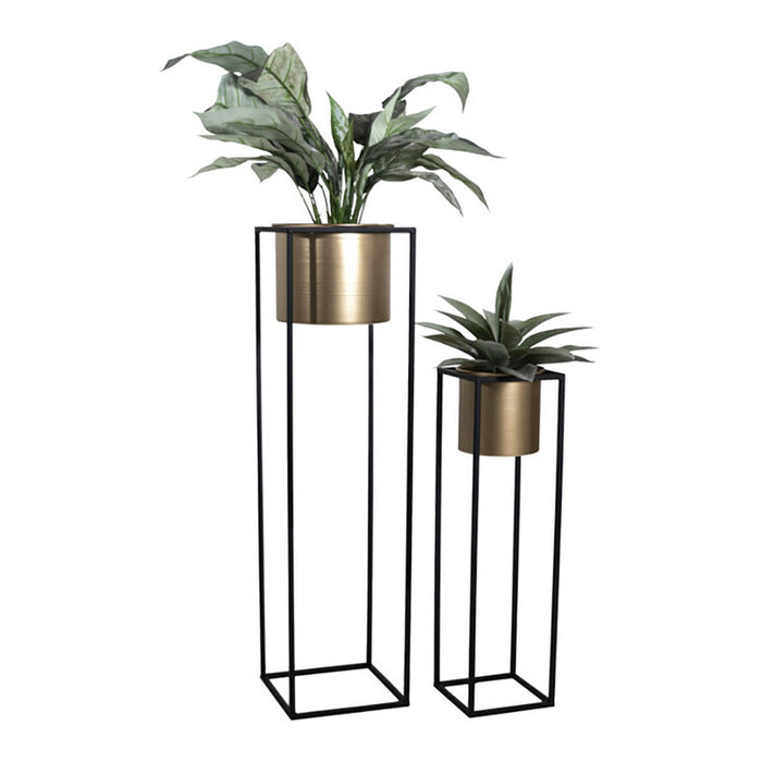 2_283477-x1.jpg (2599445)