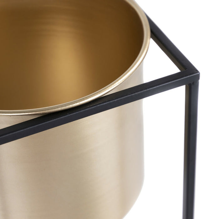 2_283477-x2.jpg (2599447)