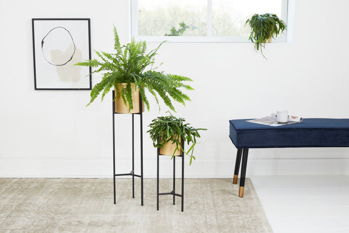 Lifa Living Plantenbak Lily, Goud