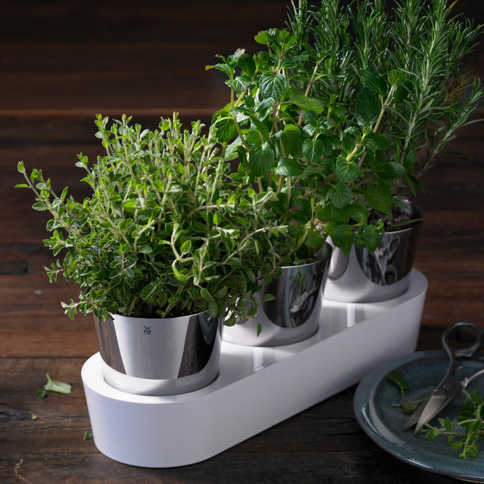 WMF Gourmet Kruidentuin