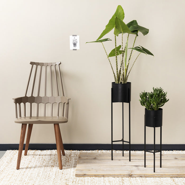 294513-x01.jpg (2611360)