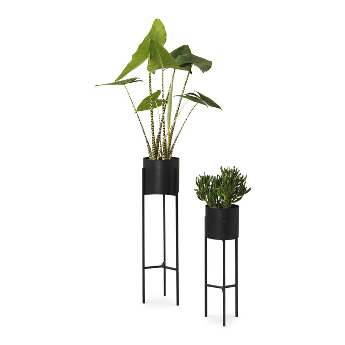 294513-x02.jpg (2611362)