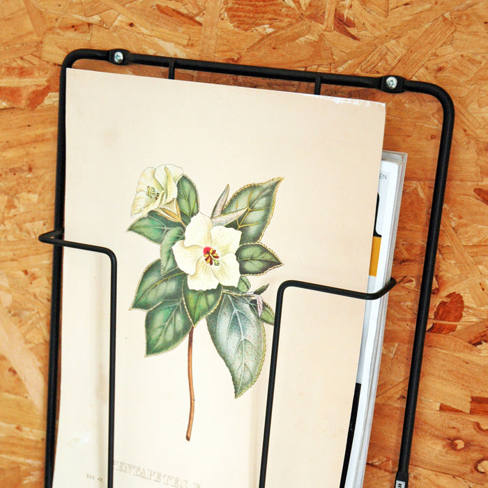 188517-x4.jpg (2632980)