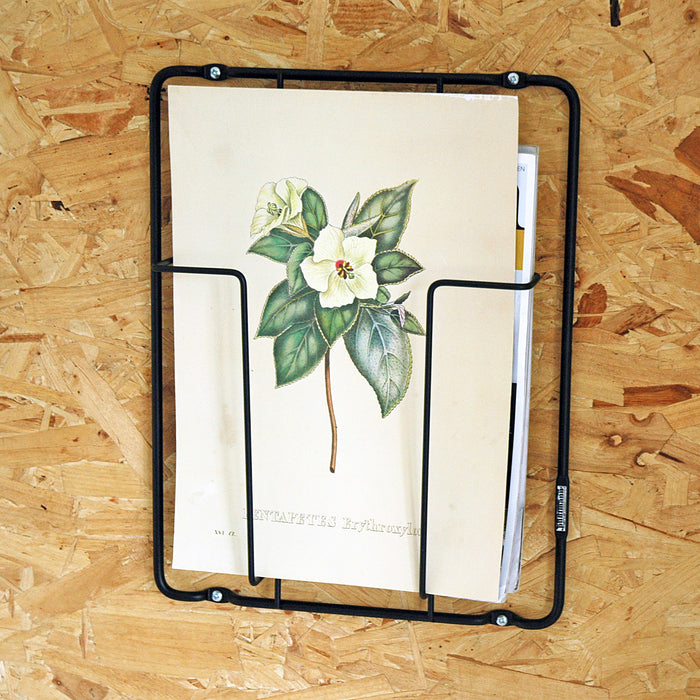 188517-x5.jpg (2632982)