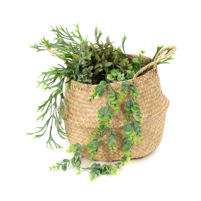 271486-x32.jpg (2647630)