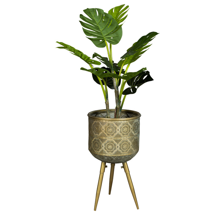 274521-x08.jpg (2655412)