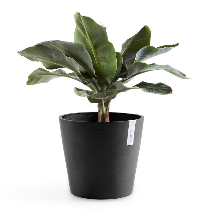 Ecopots Amsterdam 40