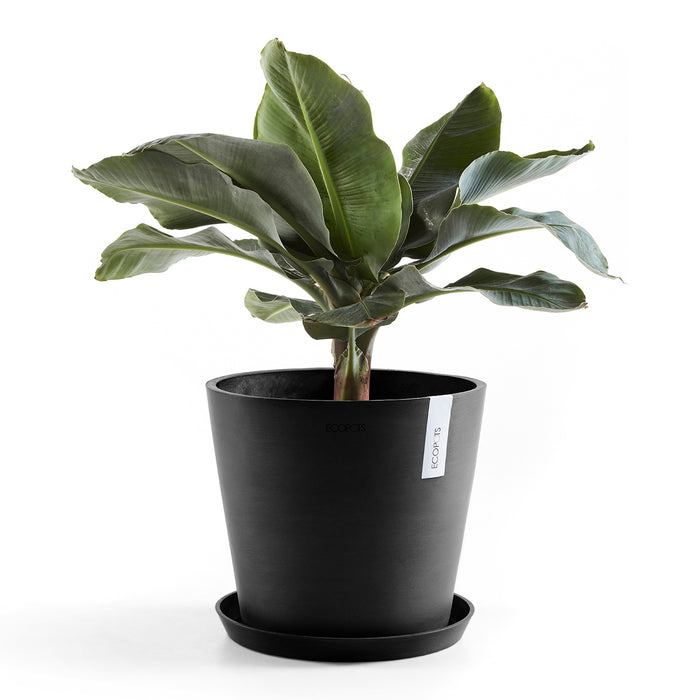 Ecopots Amsterdam 40