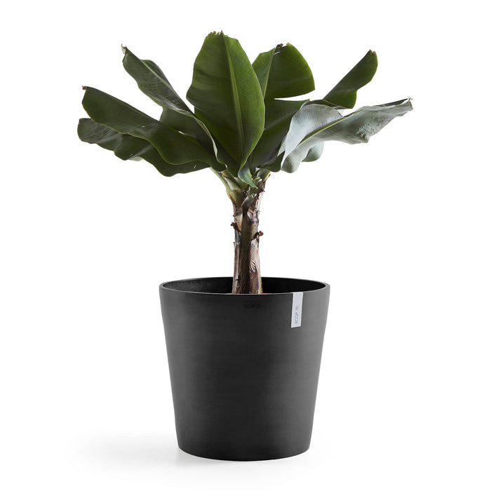 Ecopots Amsterdam 50