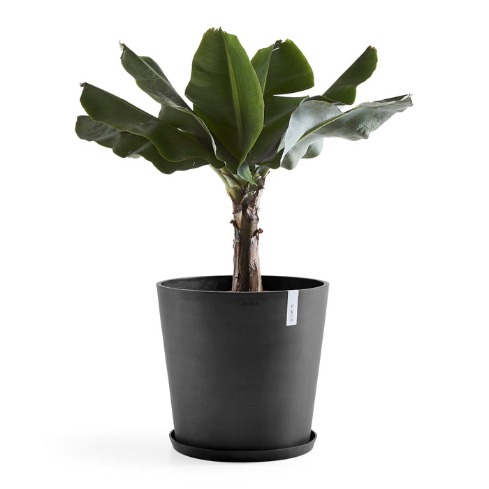 Ecopots Amsterdam 50