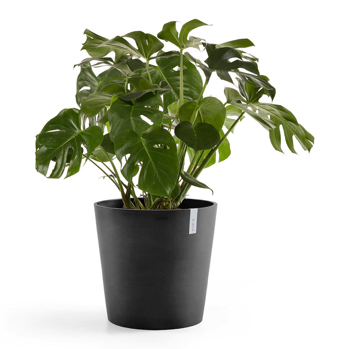 Ecopots Amsterdam 60