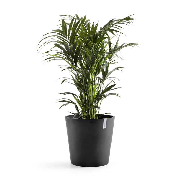 Ecopots Amsterdam 60