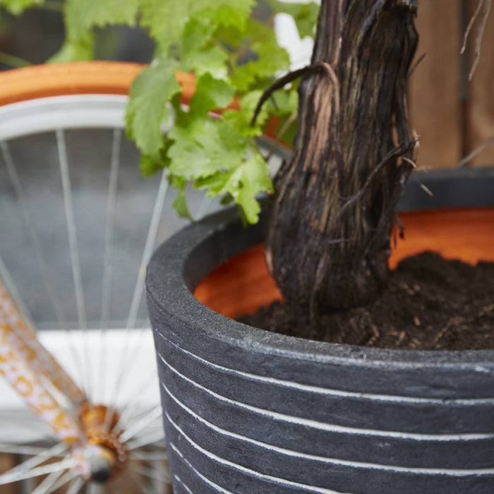 Capi Europe Nature Row Egg Planter Bloempot 35 cm