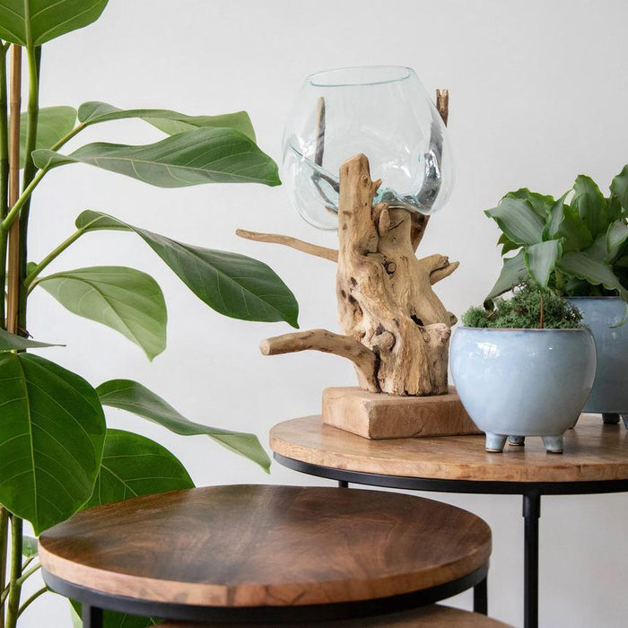 Plantenwinkel Decowood Glass Round Branch 30x40 cm ronde glazen vaas