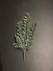 d57e77ae-29a2-4e9e-8bef-729e00da1b94-sfeerbeeld.jpg (2712315)