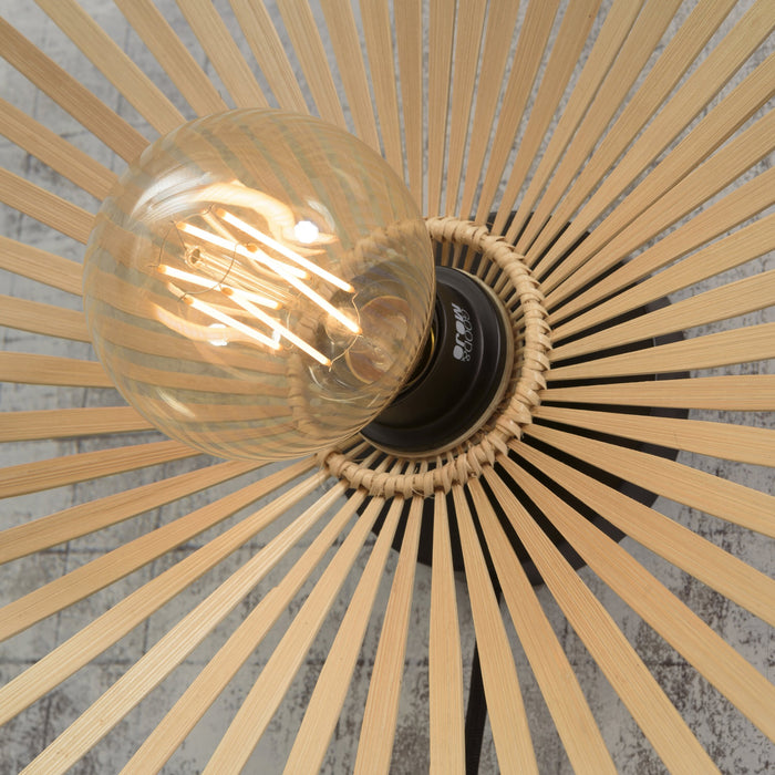 299529-5.jpg (2717732)