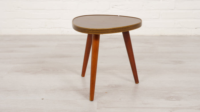 Reliving Vintage Plantentafeltje Met Donker Gefineerd Blad