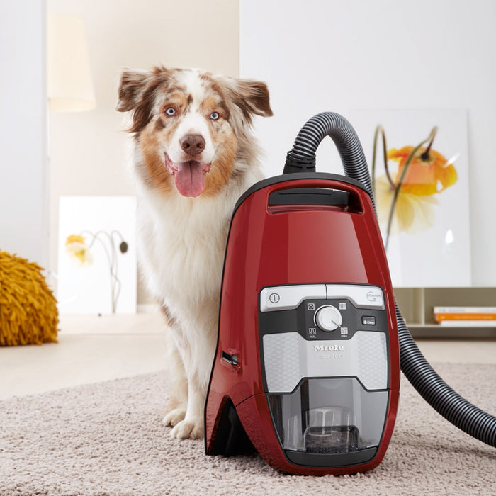 Miele Blizzard CX1 Cat & Dog PowerLine Stofzuiger