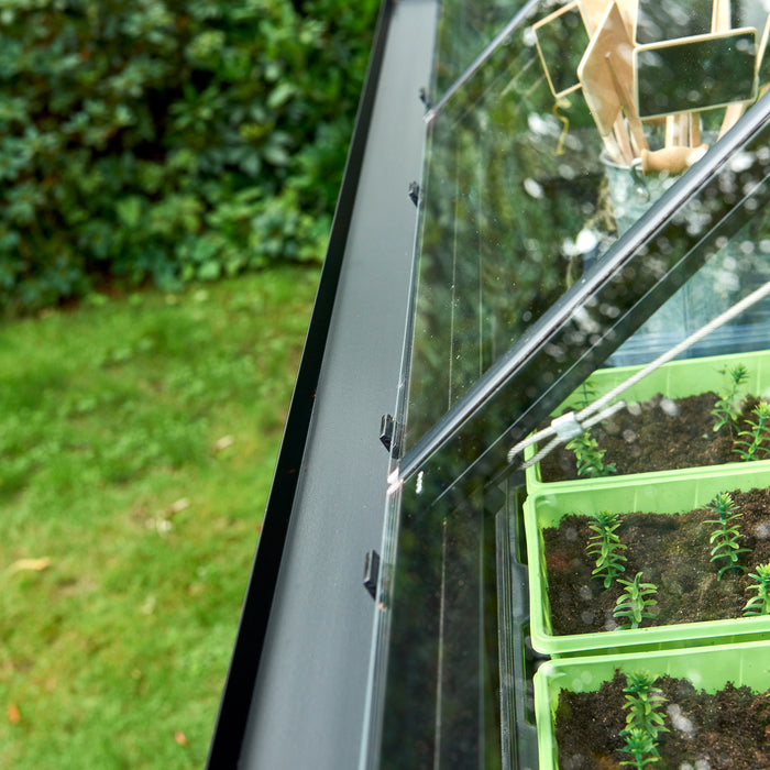 Royal Well Qube 66 Tuinkas met veiligheidsglas