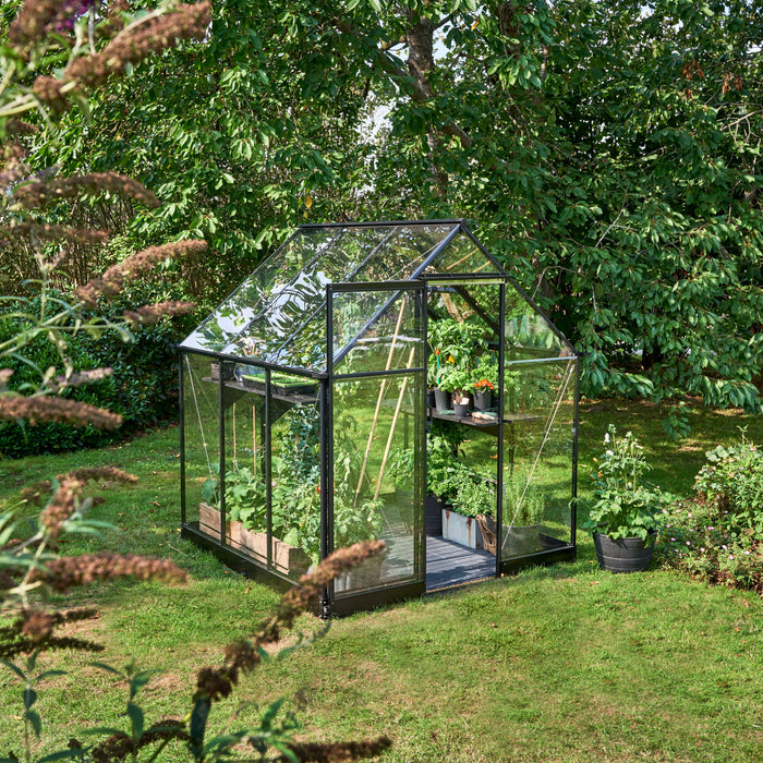 Royal Well Qube 66 Tuinkas met veiligheidsglas