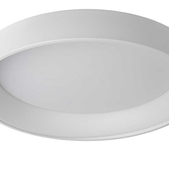 f6834771-fa38-4bb0-a9f7-c1e67f9c166e-afbeelding3.jpg (2743177)