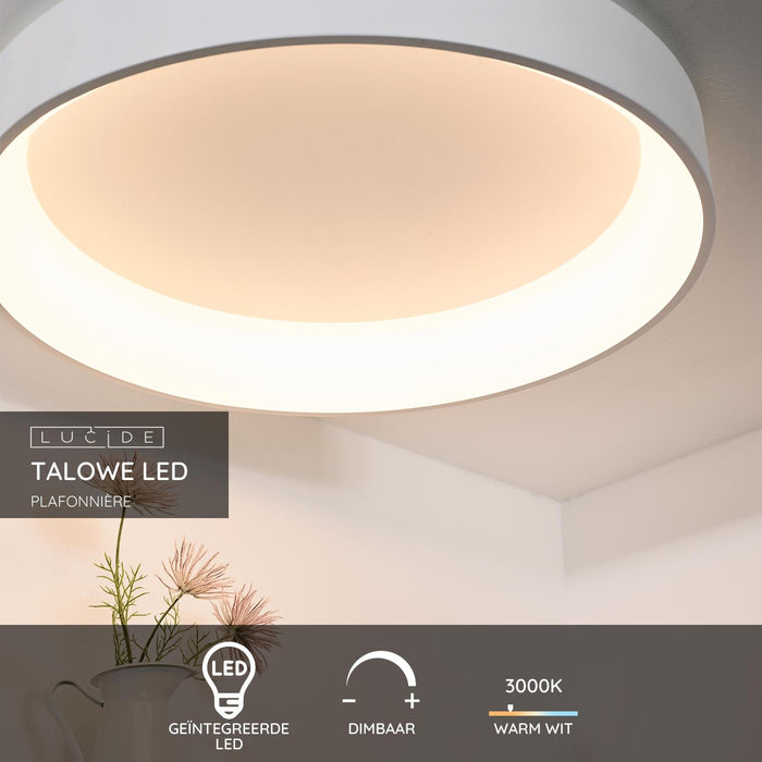 f6834771-fa38-4bb0-a9f7-c1e67f9c166e-sfeerbeeld.jpg (2743180)