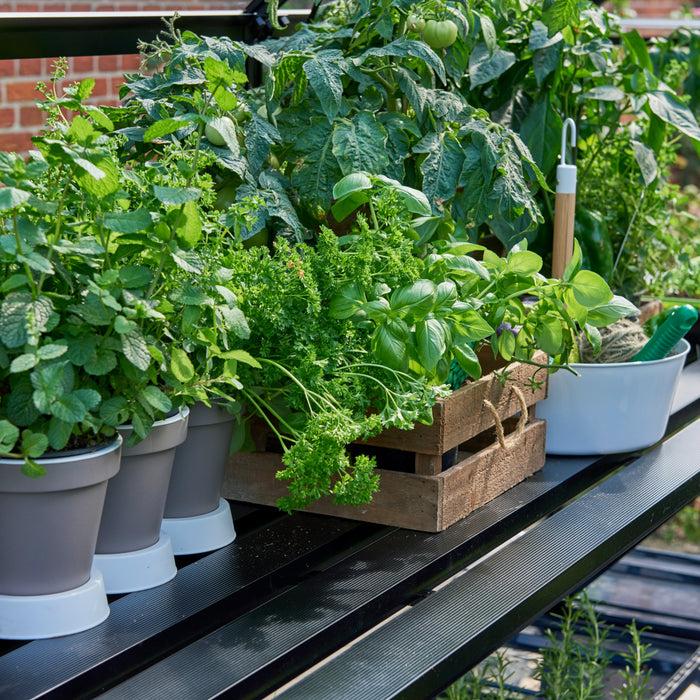 Royal Well Qube 66 Tafel voor Tuinkas