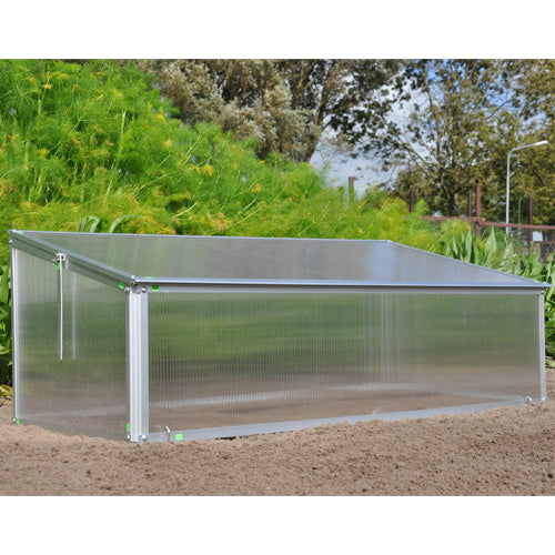 Royal Well Broeikas Viola