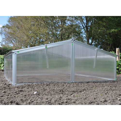 Royal Well Broeikas Silver Thyme