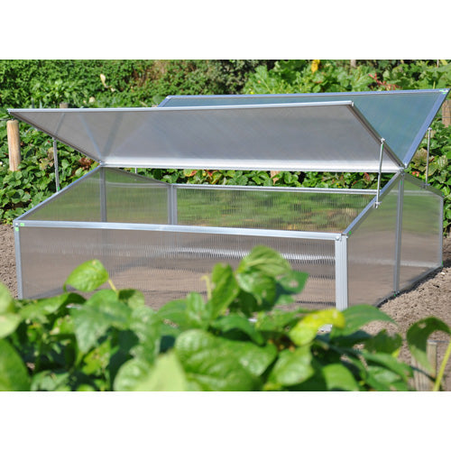 Royal Well Broeikas Silver Thyme