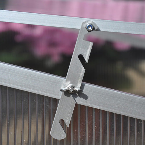 Royal Well Broeikas Silver Thyme