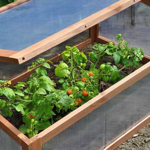 Royal Well Broeikas Sweet Tomato